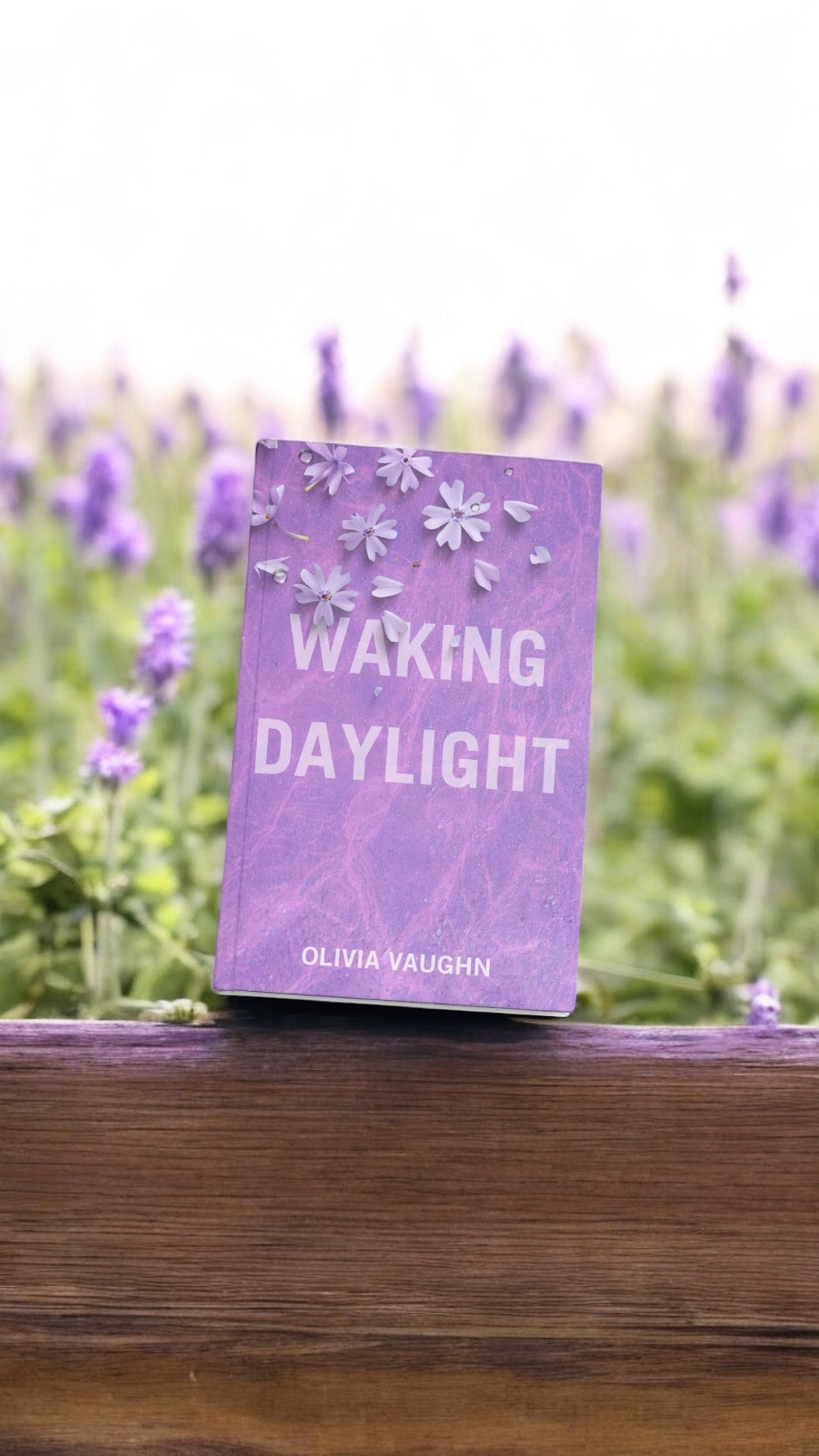 Waking Daylight