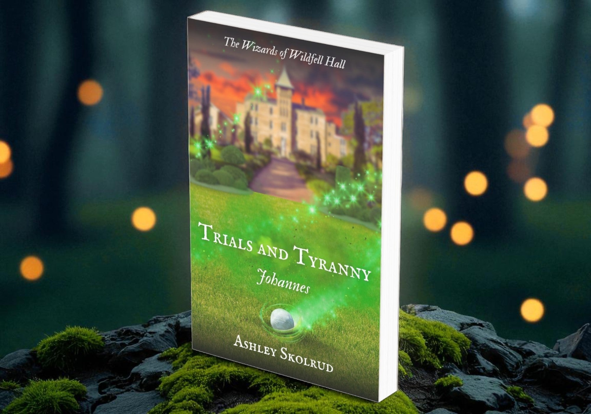 Wizards of Wildfell Hall Trials and Tyranny (Book 1)